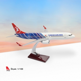 B737-800 1:100 - Anadolu Efes Maket Uçak