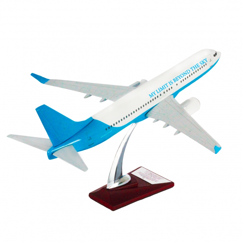 Boeing 737800 1/100 Ölçek My Limit Is Beyond The Sky Maket Uçak Air